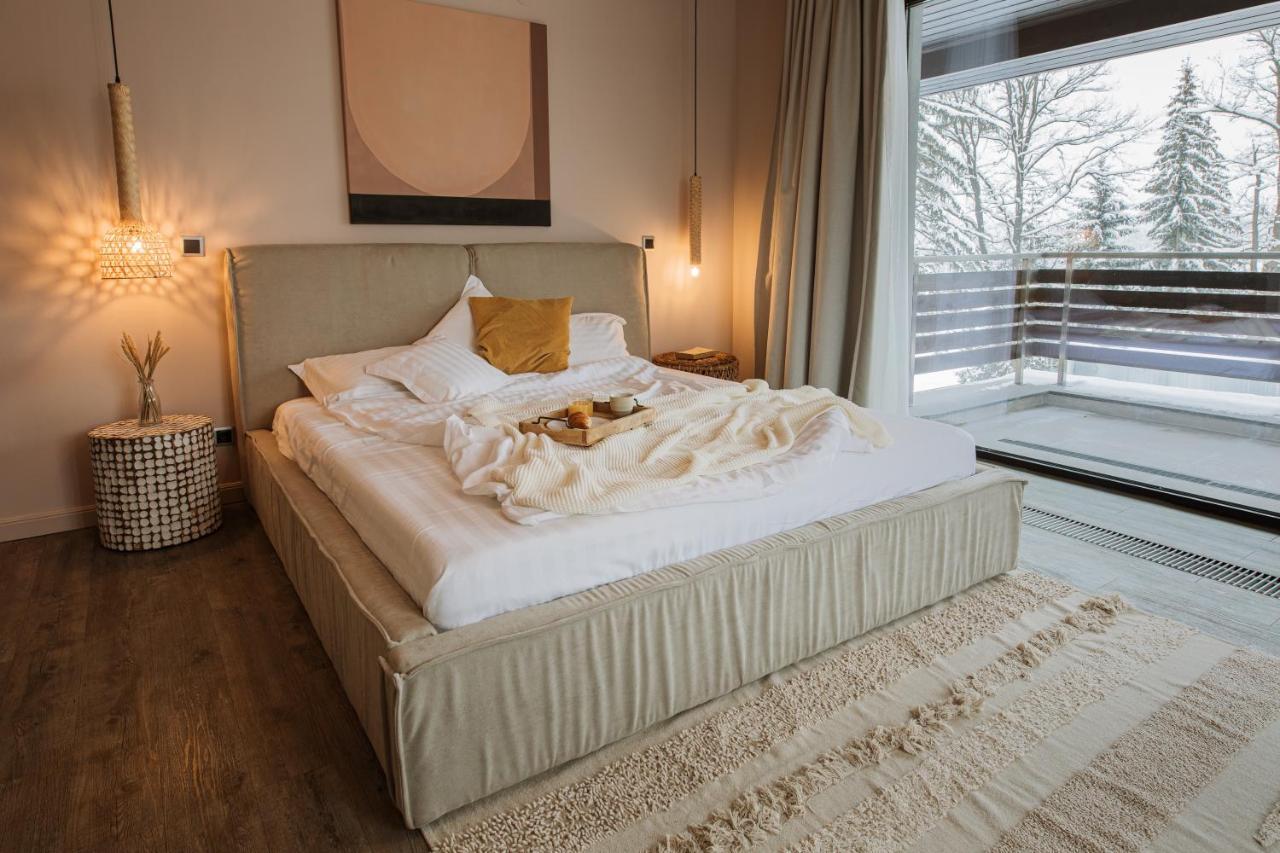 Silver Pine Apartment ポイアナ・ブラショフ エクステリア 写真