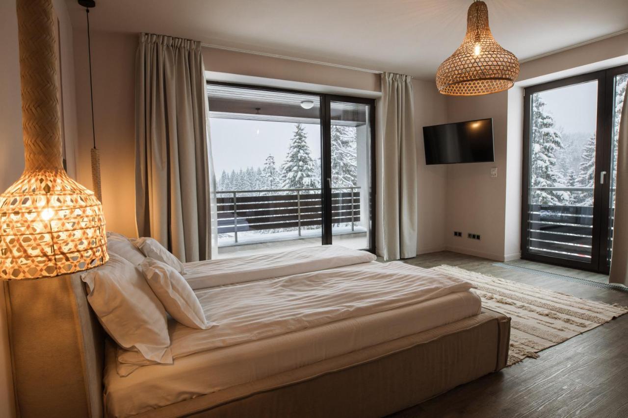 Silver Pine Apartment ポイアナ・ブラショフ エクステリア 写真