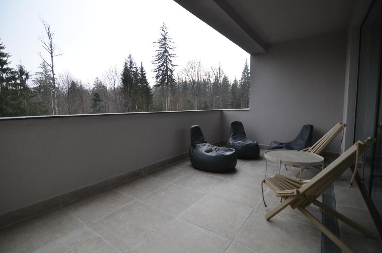 Silver Pine Apartment ポイアナ・ブラショフ エクステリア 写真