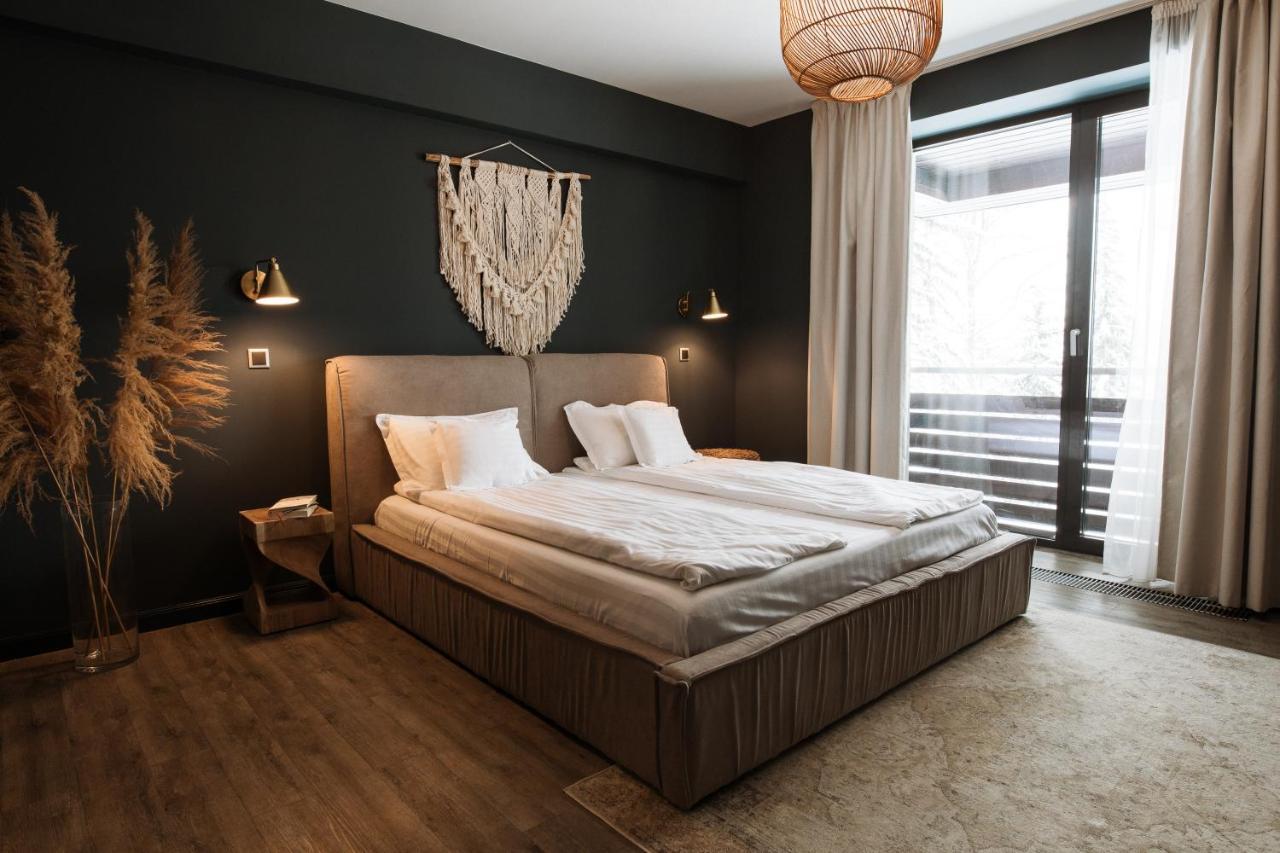 Silver Pine Apartment ポイアナ・ブラショフ エクステリア 写真