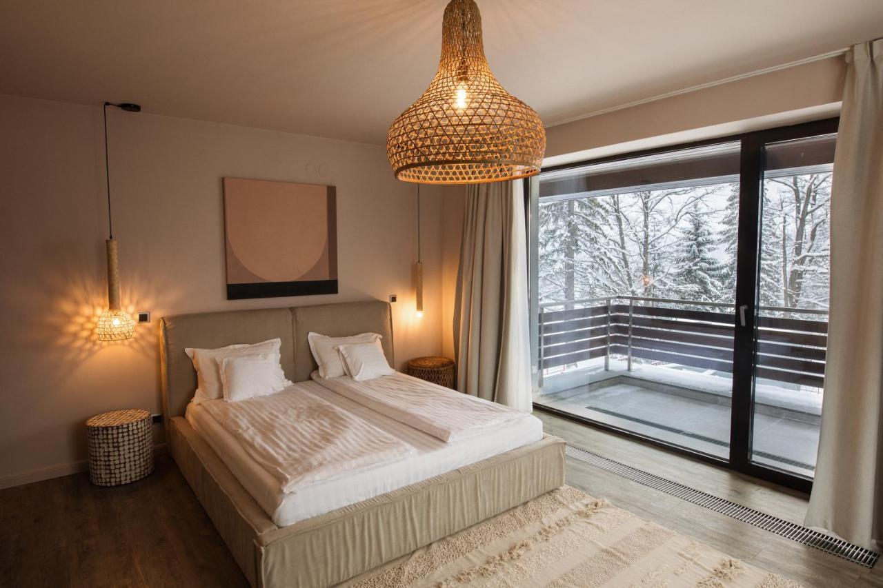 Silver Pine Apartment ポイアナ・ブラショフ エクステリア 写真