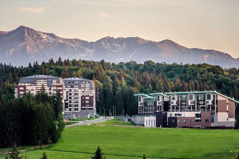 Silver Pine Apartment ポイアナ・ブラショフ エクステリア 写真